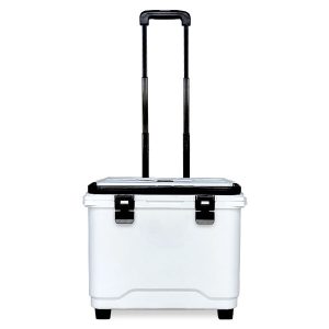 Hộp cách nhiệt đúc bằng khuôn